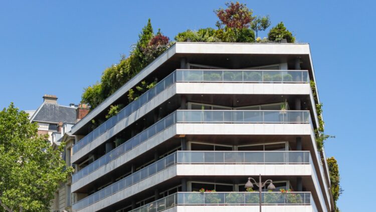 Esta comunidad autónoma se planta y sancionará a quienes no cumplan la ley de vivienda