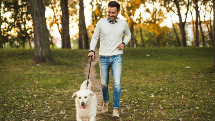 ¿Sabes cuántas veces debes sacar a pasear a tu perro? Esto dicen los veterinarios.