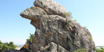 ¿Qué son las misteriosas piedras vivas? Descubre su secreto y dónde las puedes encontrar.