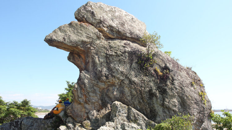 ¿Qué son las misteriosas piedras vivas? Descubre su secreto y dónde las puedes encontrar.