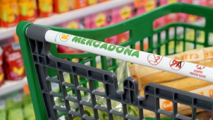 Adiós a los carritos de supermercados en España: cambio radical y así serán a partir de ahora