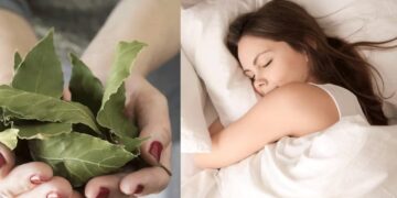 Esta es la razón por la que cada vez más gente coloca una hoja de laurel bajo la almohada