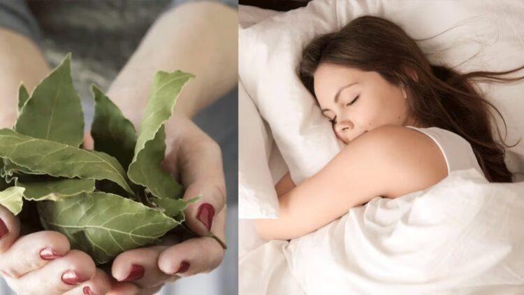 Esta es la razón por la que cada vez más gente coloca una hoja de laurel bajo la almohada