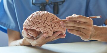 La Inteligencia Artificial y sus impactos en nuestro cerebro.