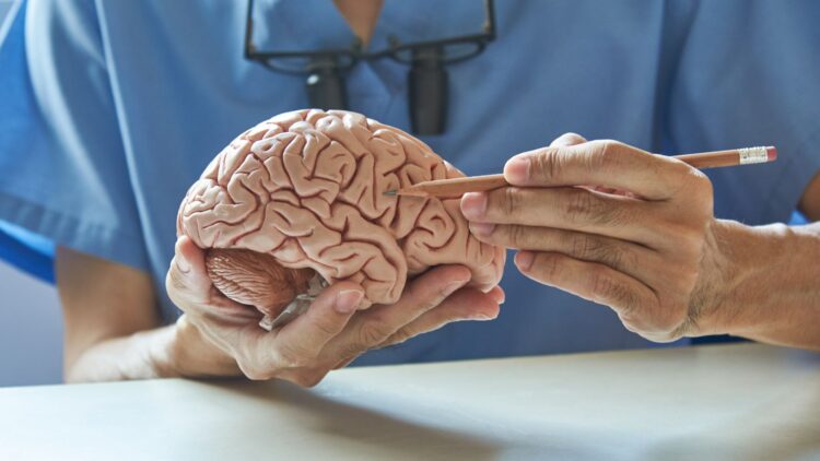 La Inteligencia Artificial y sus impactos en nuestro cerebro.