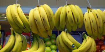 Así debes conservar los plátanos para que duren más tiempo.