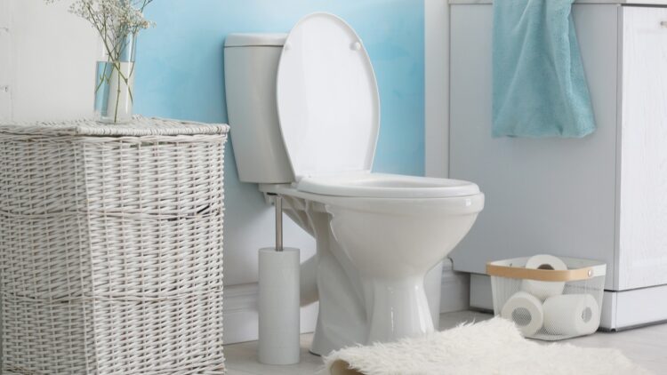 Adiós al debate sobre si es mejor orinar de pie o sentado: la ciencia tiene la respuesta