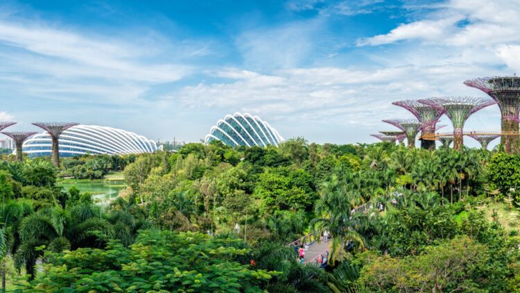 Adiós a los vertederos: este es el novedoso sistema de gestión de residuos que hace que Singapur no tenga basura.