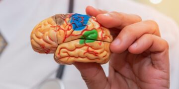 Estas son las 5 cosas que los neurólogos dicen que no hagamos.