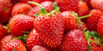 ¿Fresas de España? Con este truco diferenciarás las fresas nacionales de las de Marruecos.