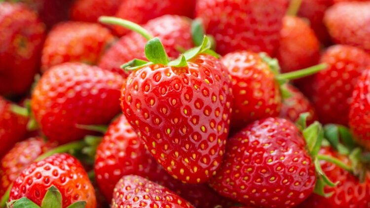 ¿Fresas de España? Con este truco diferenciarás las fresas nacionales de las de Marruecos.