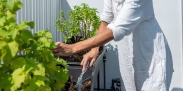 Cómo tener un huerto en casa: estas son las 15 plantas que crecerán casi solas en tu hogar.