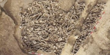 El increíble hallazgo de una fosa común con 150 esqueletos redefine todo lo que sabíamos sobre los entierros en el Imperio Romano