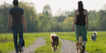 Una adiestradora lo confirma: este es el tiempo que debes pasear diariamente a tu perro para mantener su bienestar físico y mental