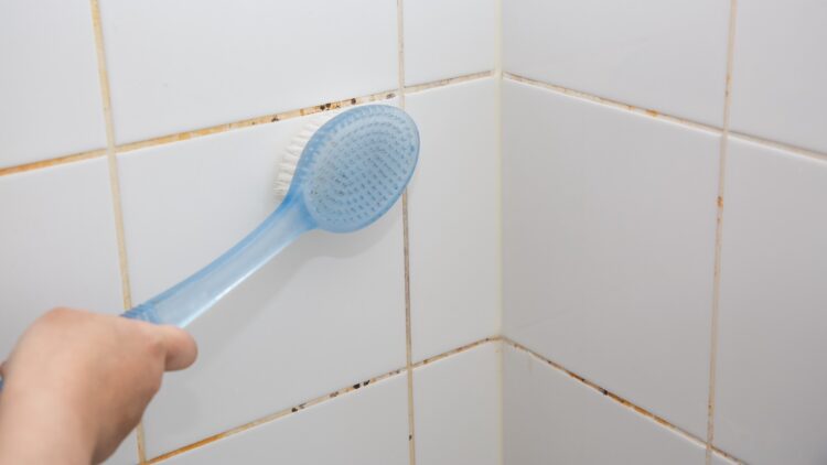 Este truco de la abuela elimina el moho de la ducha
