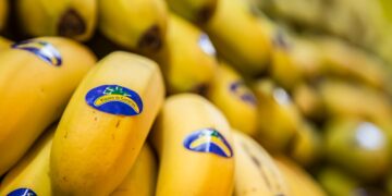 El precio del Plátano de Canarias se dispara hasta los 7 euros el kilo