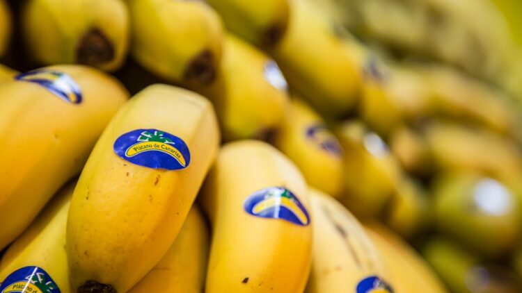 Confirmado: el precio del Plátano de Canarias se dispara hasta los 7 euros el kilo, pero su encarecimiento tiene sentido 1 El precio del Plátano de Canarias se dispara hasta los 7 euros el kilo