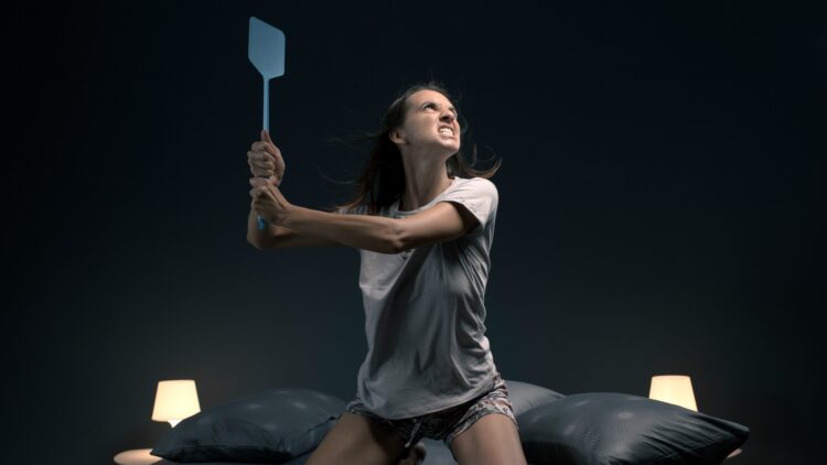 El método perfecto para acabar con los mosquitos