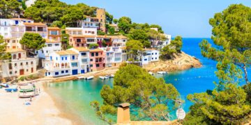 Tala 16 árboles para ver el mar desde casa