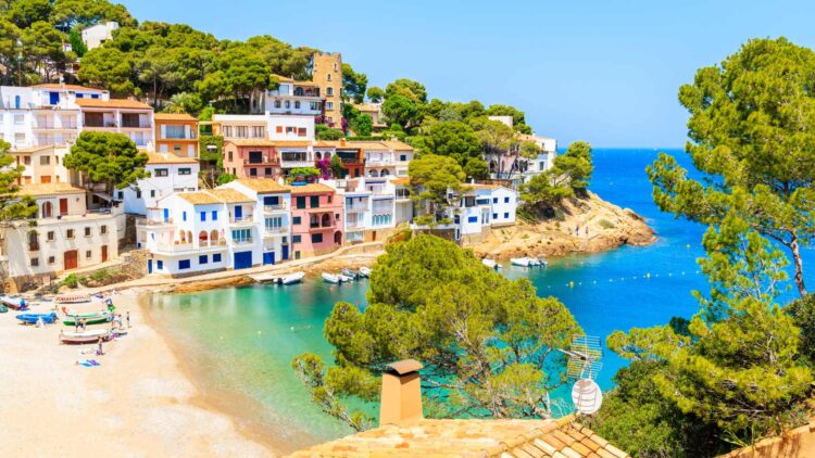 Tala 16 árboles para ver el mar desde casa y la vecina le pide una millonada: este es el motivo de su demanda 1 Tala 16 árboles para ver el mar desde casa