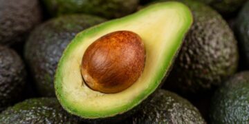 El aguacate abandona Andalucía y esta es la nueva región española que apuesta fuerte por su cultivo