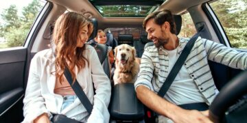 La DGT lo confirma: estas son las cautelas