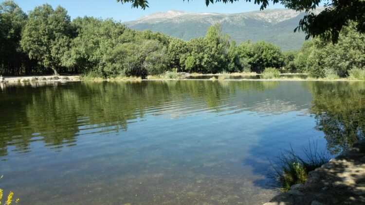 Adiós al calor: Madrid sí tiene 'playa' y estas cuatro son las mejores alternativas para refrescarte en verano 1 Adiós al calor: Madrid sí tiene 'playa'