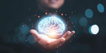 Confirmado: tu cerebro también tiene 'modo avión'