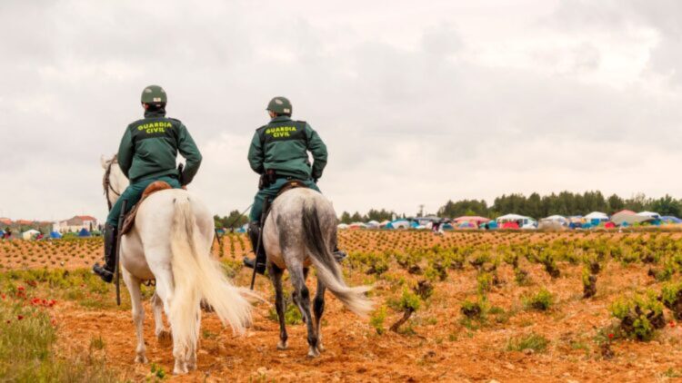 Ni perdón ni desconocimiento: la Guardia Civil halla un coche abandonado en el campo y este será el multón a su propietario 1 La Guardia Civil halla un coche abandonado en el campo