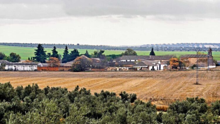 Ni Guadalajara ni Cuenca: este pueblecito a 100 kilómetros de Madrid esconde un gran encanto a pesar de su tamaño 1 Ni Guadalajara ni Cuenca: este pueblecito a 100 kilómetros de Madrid