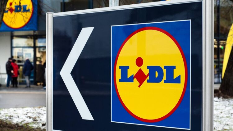 Lidl adelanta la Navidad: ya puedes decorar tu casa con esta planta típica de estas fechas que cuesta solo 1,49 euros 1 Lidl adelanta la Navidad: ya puedes decorar tu casa