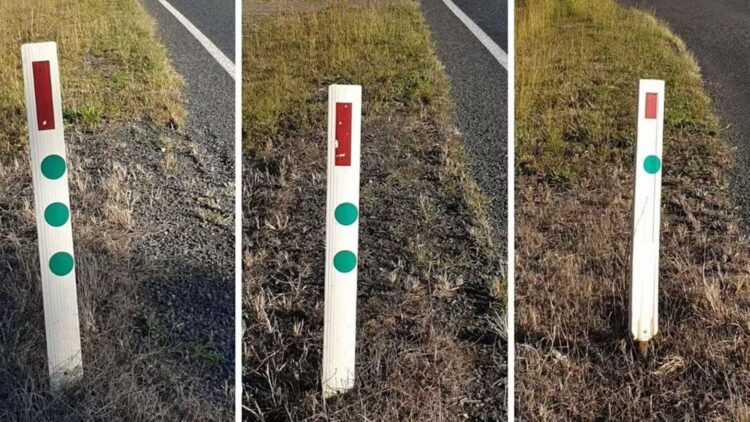 Hardly anyone knows that this is the real meaning of those green reflective sticks you see on the roads