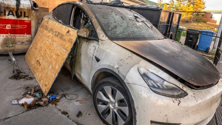 Tesla owner stung by ex-wife must part with $97,000