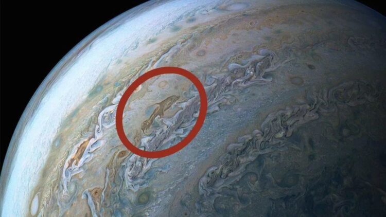 A dolphin in Jupiter - this is the incredible image taken by NASA's Juno spacecraft that changes everything 1 A dolphin in Jupiter
