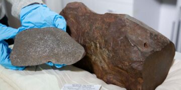 Neither gold nor platinum - this man kept a stone for years thinking it was gold - much to his surprise when he discovered it was worth much more and not from this planet