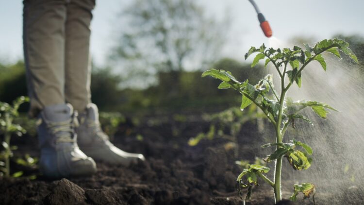 "People don't want to know what's in lettuce or tomatoes or strawberries because if they knew, they wouldn't eat them"