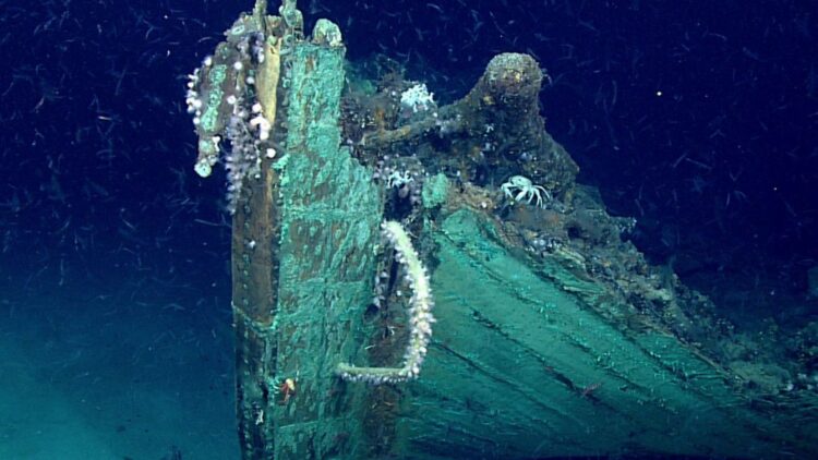 Making history - these American treasure hunters are shocked to discover a shipwreck over 300 years old