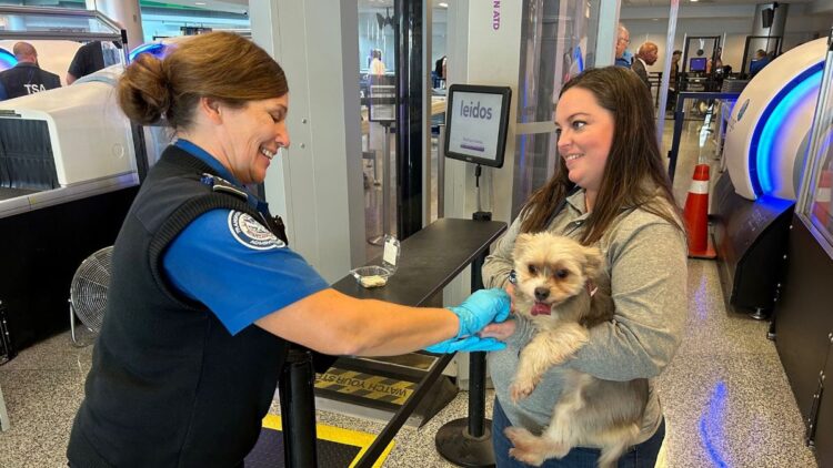 TSA-approved - it is this easy to travel with your pet