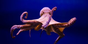 Farewell to Humanity - Oxford Professor Identifies the Species That Will Replace Us - "Builder of Civilizations