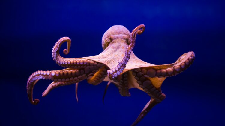 Farewell to Humanity - Oxford Professor Identifies the Species That Will Replace Us - "Builder of Civilizations 1 Farewell to Humanity - Oxford Professor Identifies the Species That Will Replace Us - "Builder of Civilizations