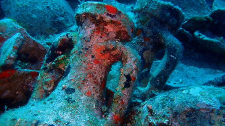 Scientists discover 2300-year-old ship in Cyprus with tonnes of treasures intact - changing history