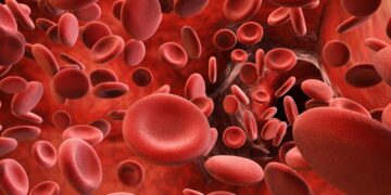 The NHS and the University of Bristol discover the AB0 blood group, revolutionizing transfusion medicine