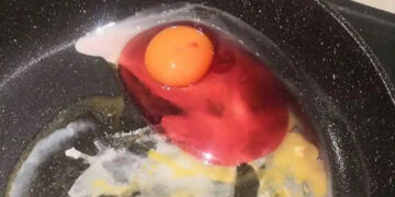 A biologist warns that we should never eat an egg if its white is an unusual color