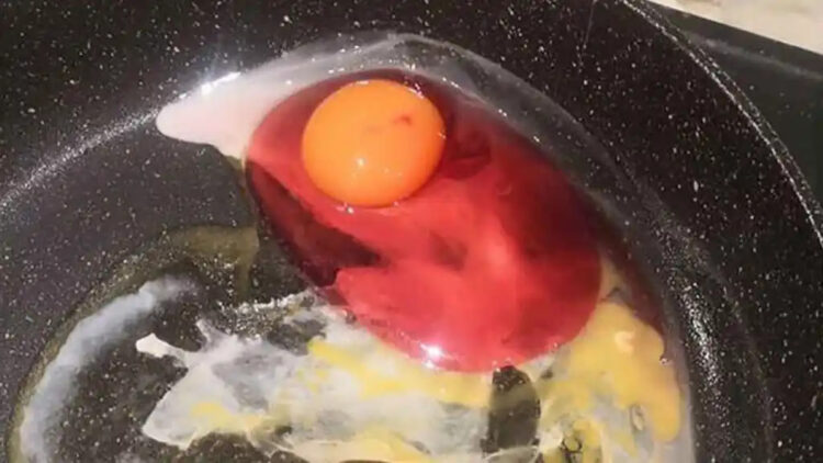 A biologist warns that we should never eat an egg if its white is an unusual color 1 A biologist warns that we should never eat an egg if its white is an unusual color