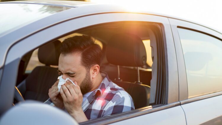 Say goodbye to sneezing behind the wheel - the almost-unknown trick to turning your car into an allergy haven this spring 1 Say goodbye to sneezing behind the wheel - the almost-unknown trick to turning your car into an allergy haven this spring