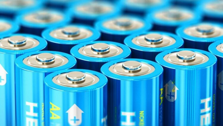 Say goodbye to Elon Musk and China's dominance — a European country has created batteries that can be planted like seeds to produce clean fuel