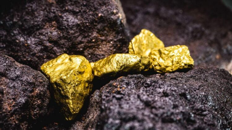 It's official—a new gold mine has been discovered in South America that could become one of the greatest finds of the century