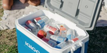 Goodbye to portable coolers - Igloo has issued an official recall, and these are the models that could pose a danger - Here's how it affects you