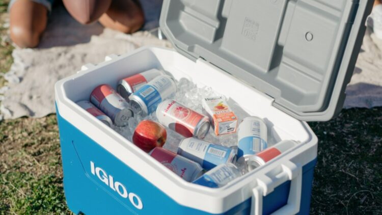 Goodbye to portable coolers - Igloo has issued an official recall, and these are the models that could pose a danger - Here's how it affects you