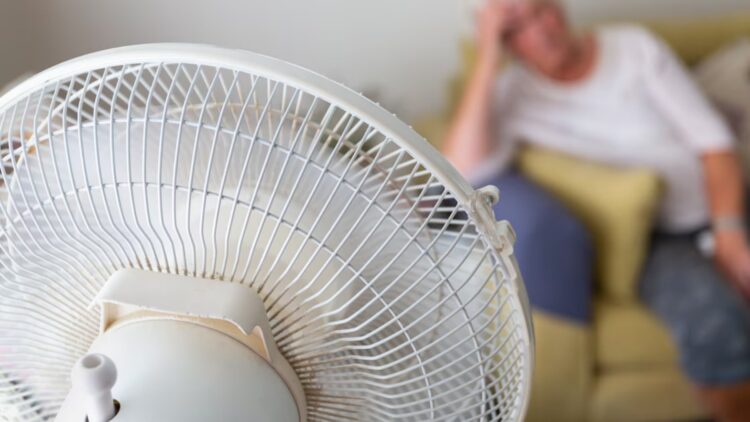 Goodbye to air conditioning—this is why more and more people are choosing fans as an eco-friendly and economical alternative